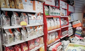 一站式寵物生活服務(wù) 美容、洗浴、配種與用品零售